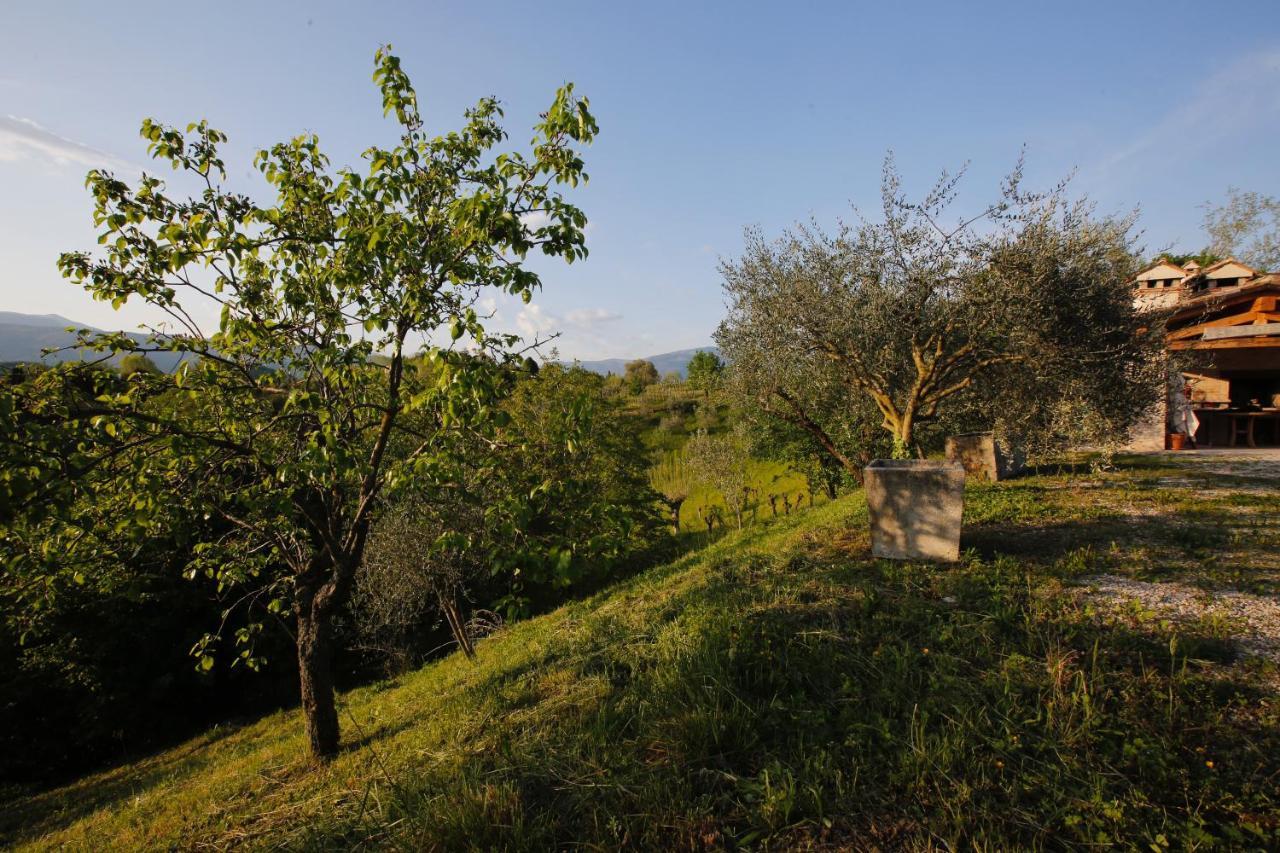 Asolo Norah'S Hill Agri Rooms Monfumo Exteriör bild