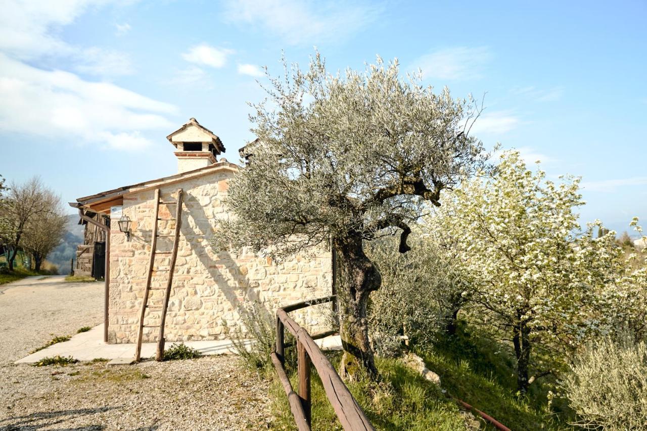 Asolo Norah'S Hill Agri Rooms Monfumo Exteriör bild