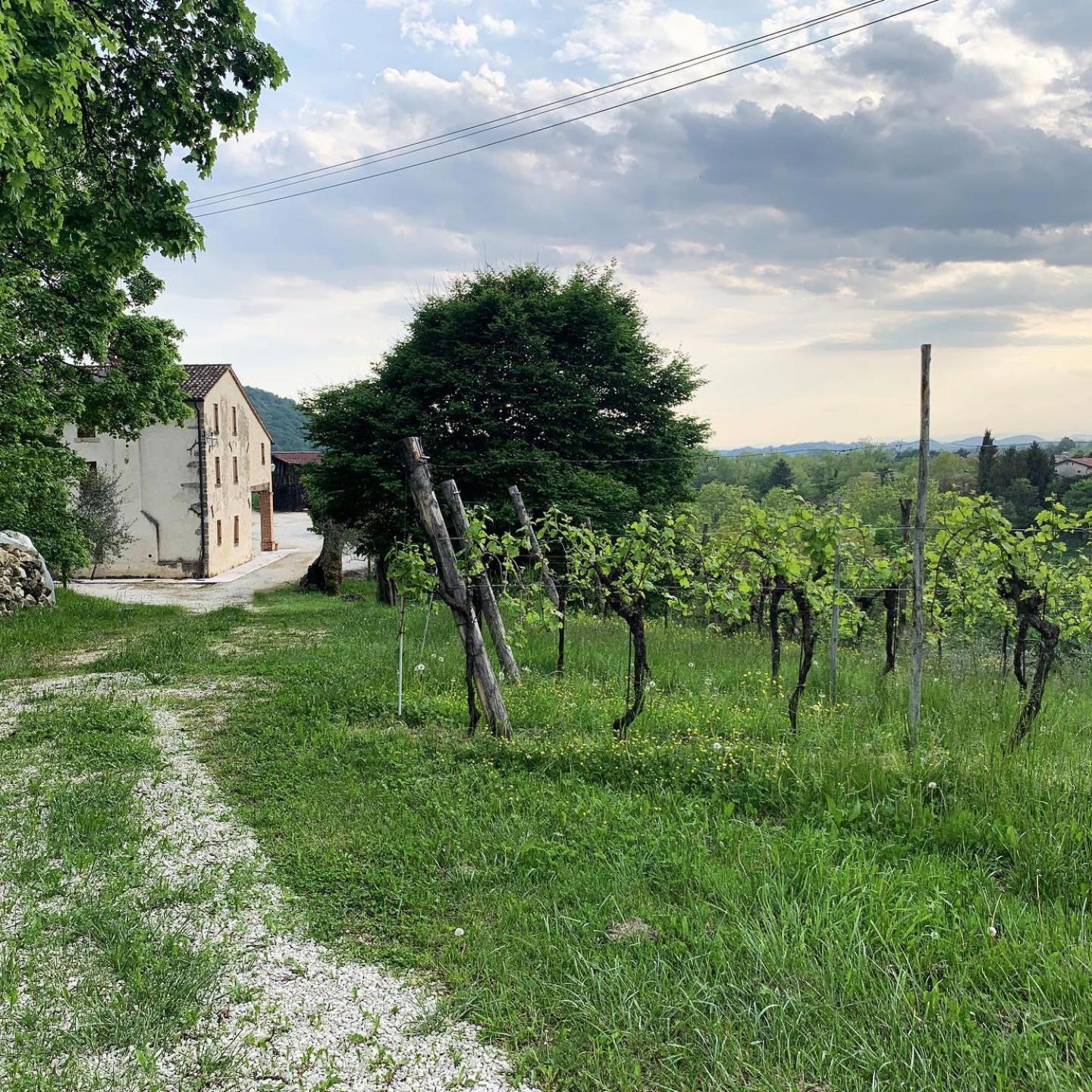 Asolo Norah'S Hill Agri Rooms Monfumo Exteriör bild